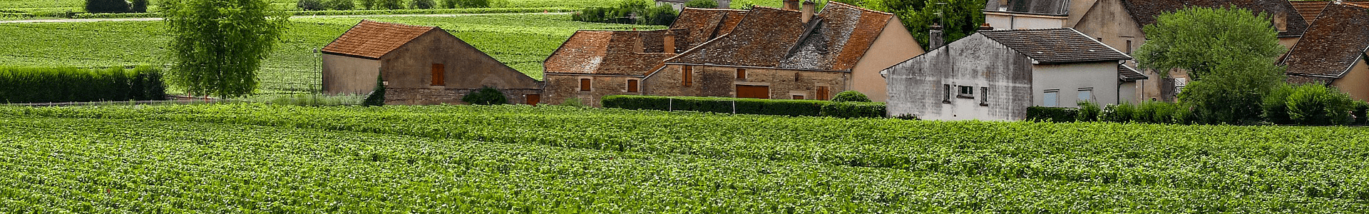 Domaine Samuel Billaud