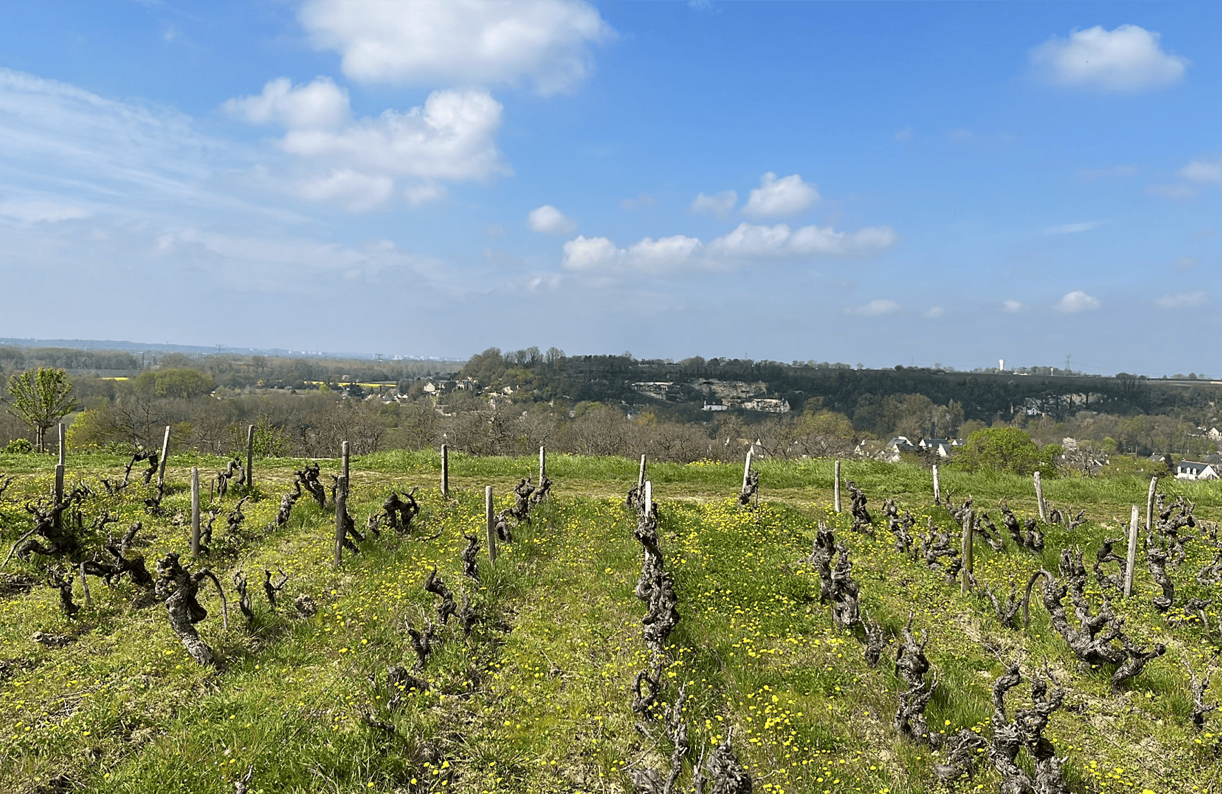 Clos Thierrière