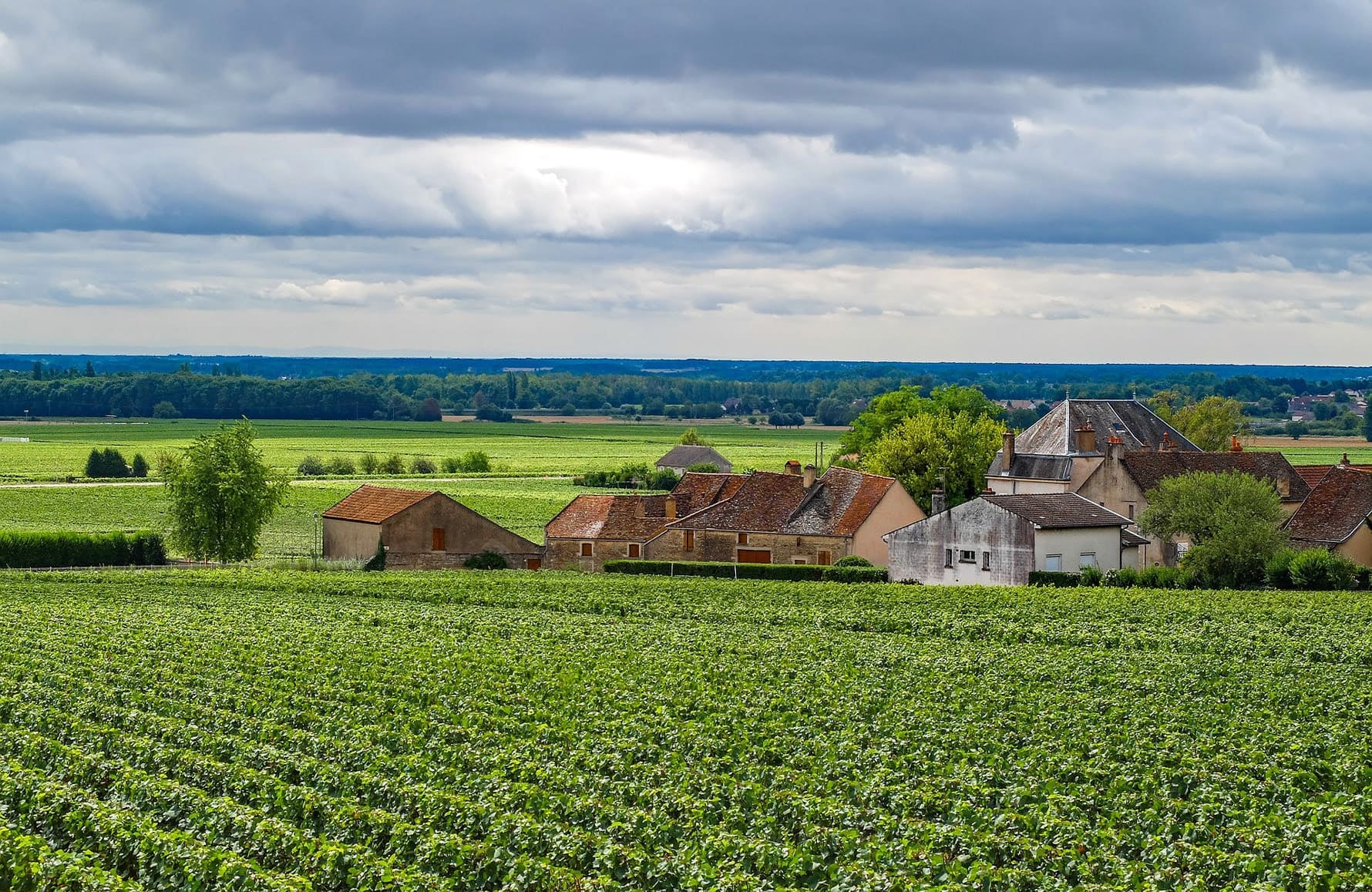the story of Domaine Chavy-Chouet