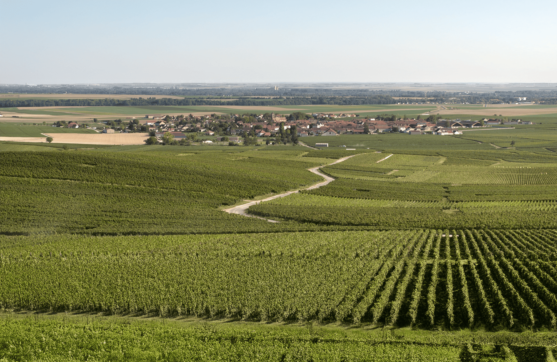 l’histoire du Champagne Charles Heidsieck