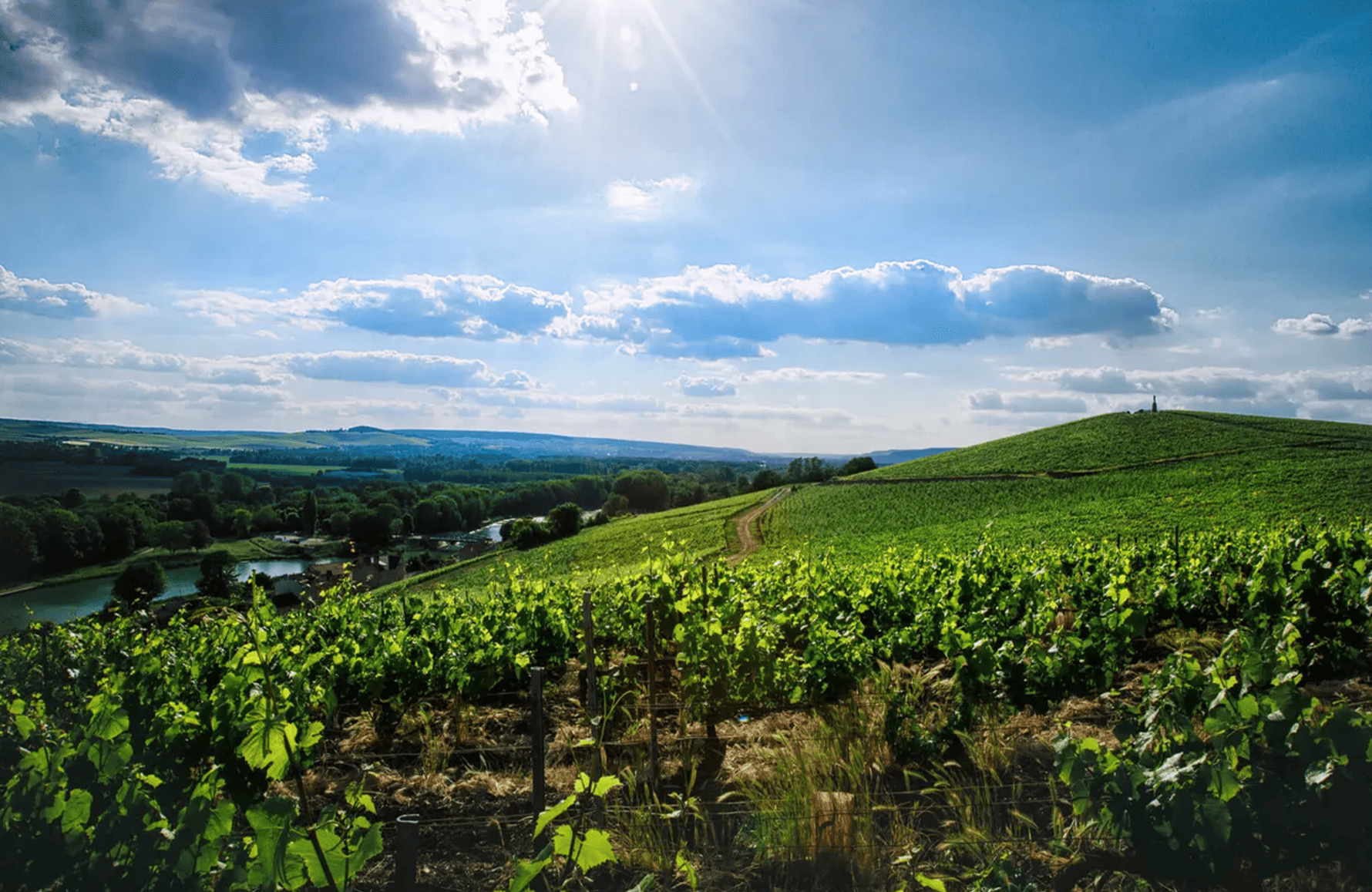 the story of Champagne Philipponnat