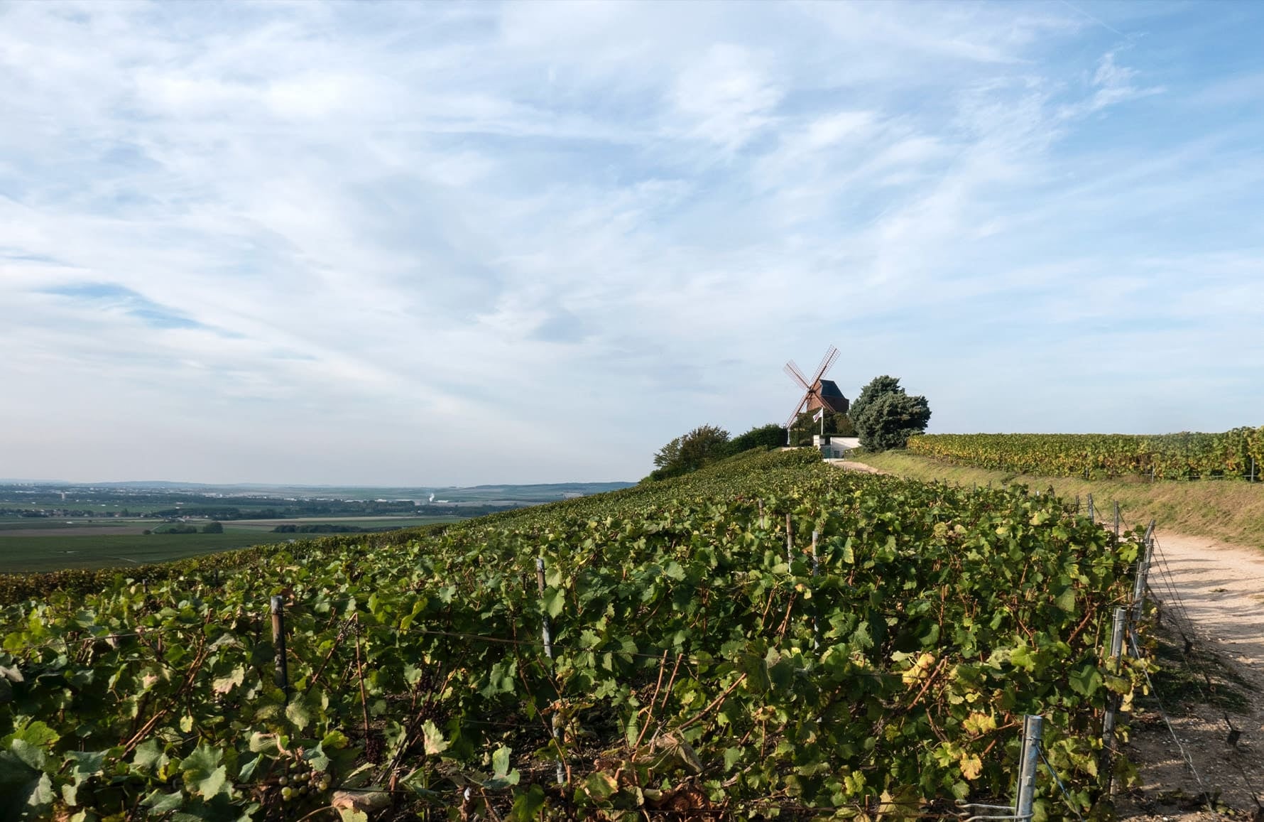l’histoire du Fleur de Miraval