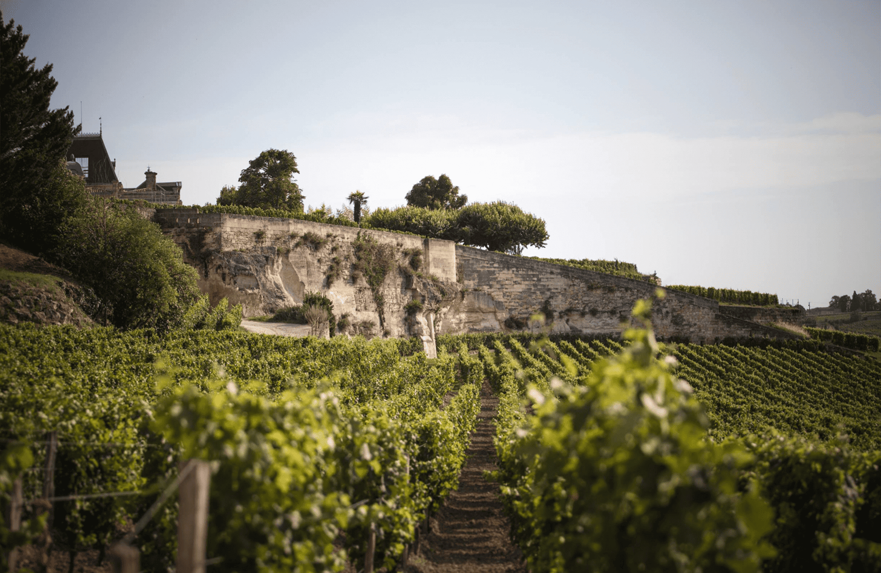 l’histoire du Château Ausone