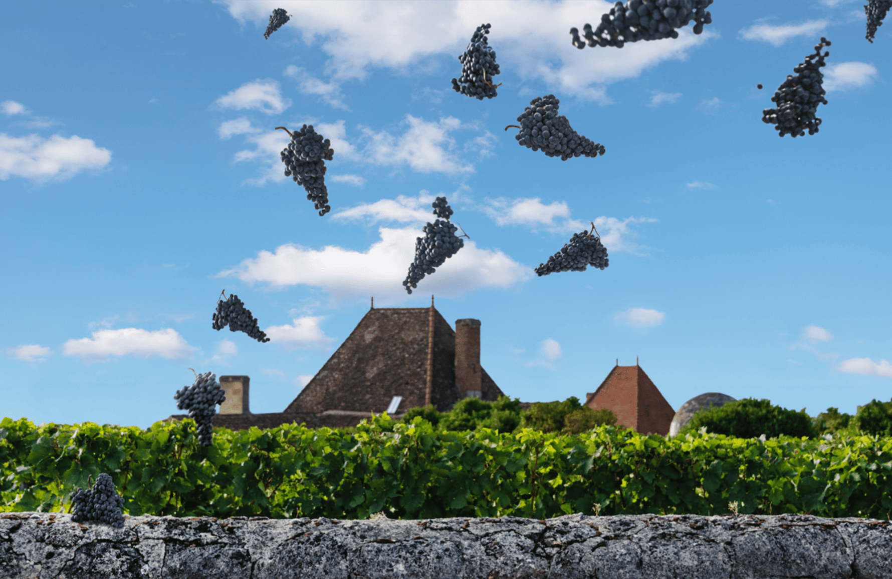 l’histoire du Château Bélair-Monange