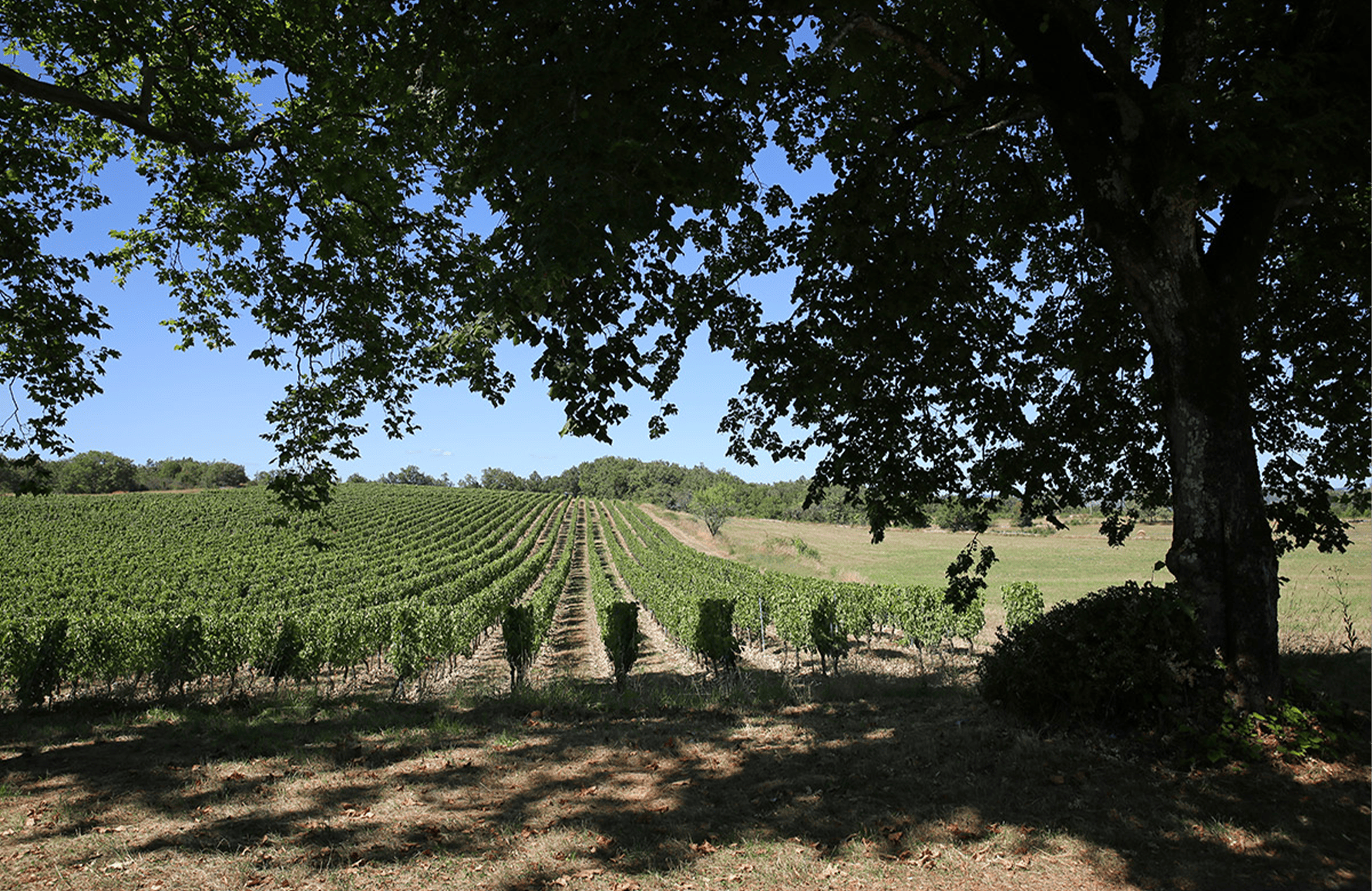 l’histoire du Château Combel-la-Serre