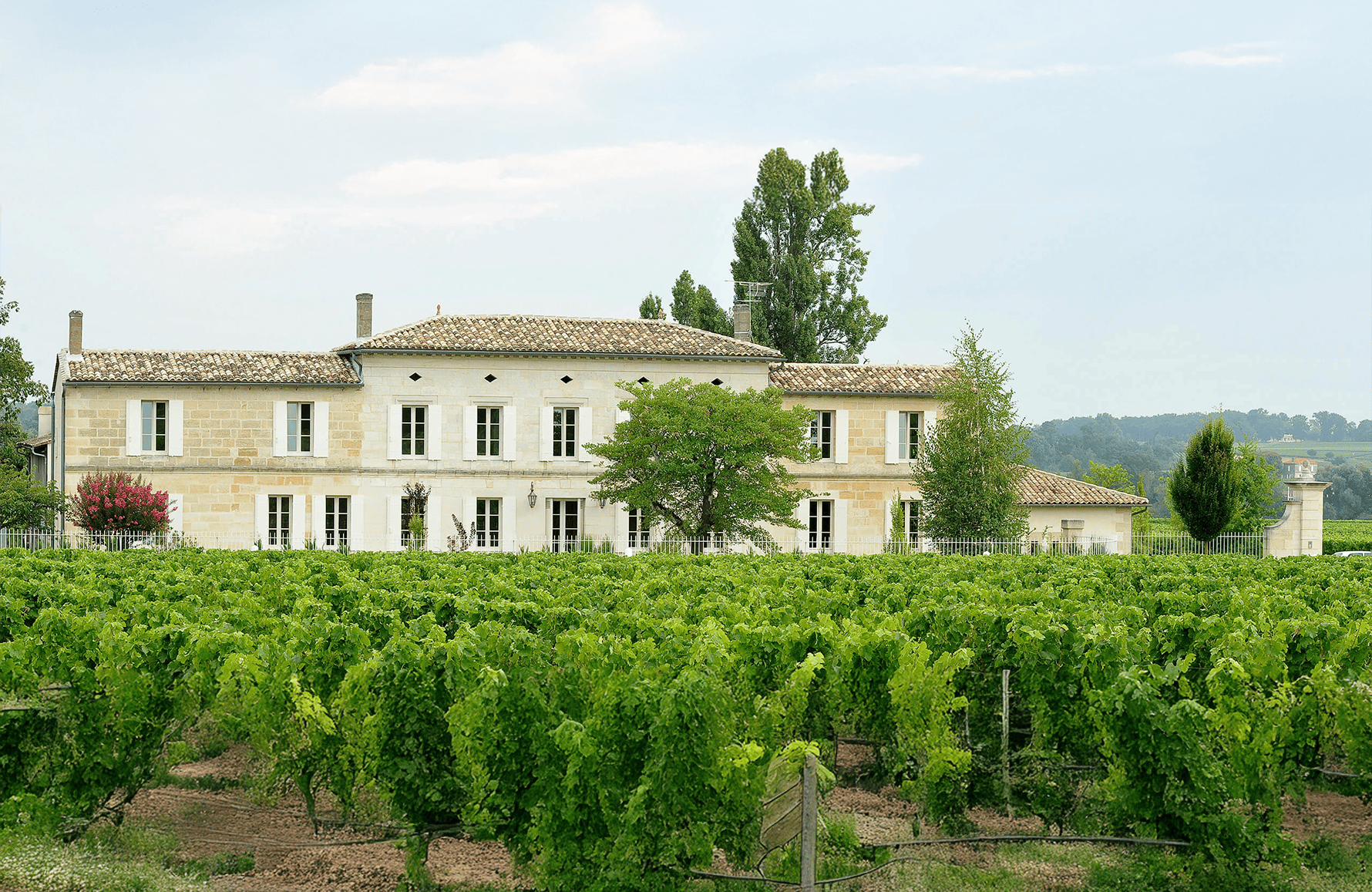 the story of Château Grand Corbin-Despagne