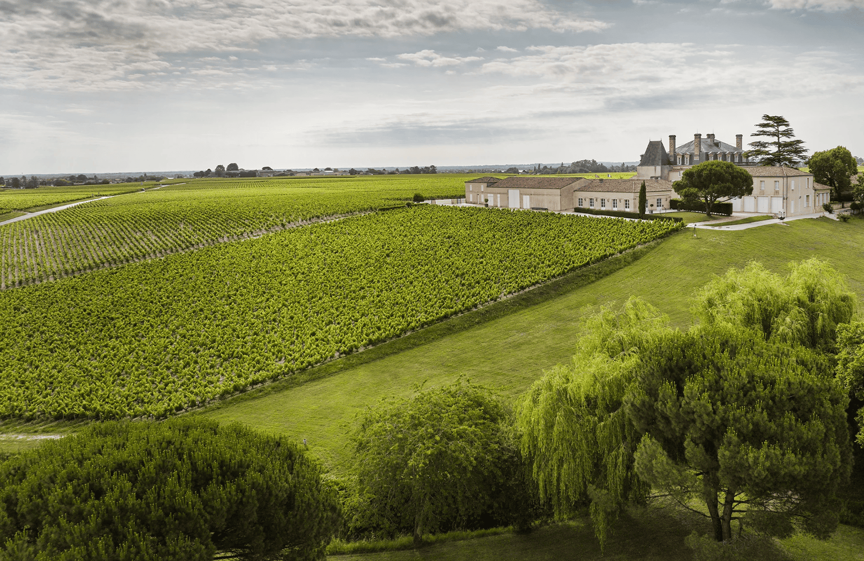 the story of Grand-Puy-Lacoste Castle