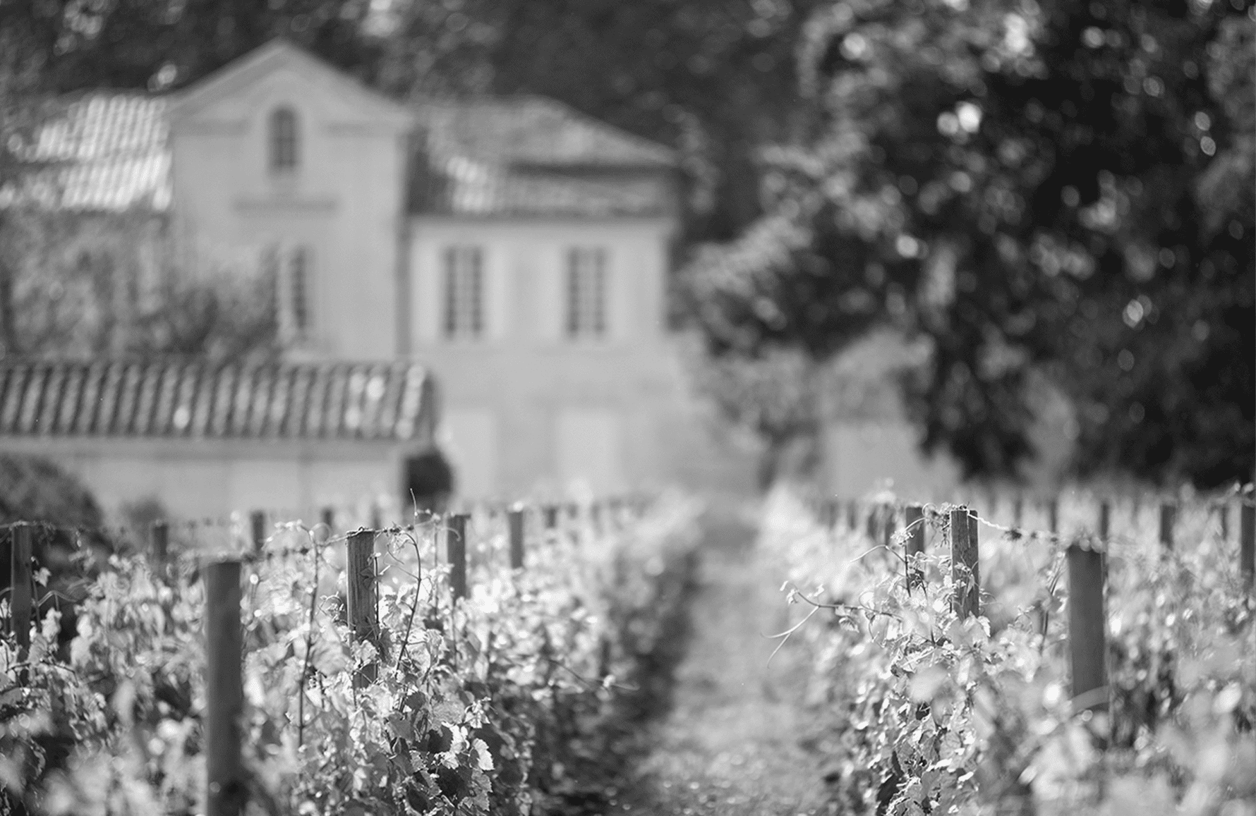the story of Château La Pointe
