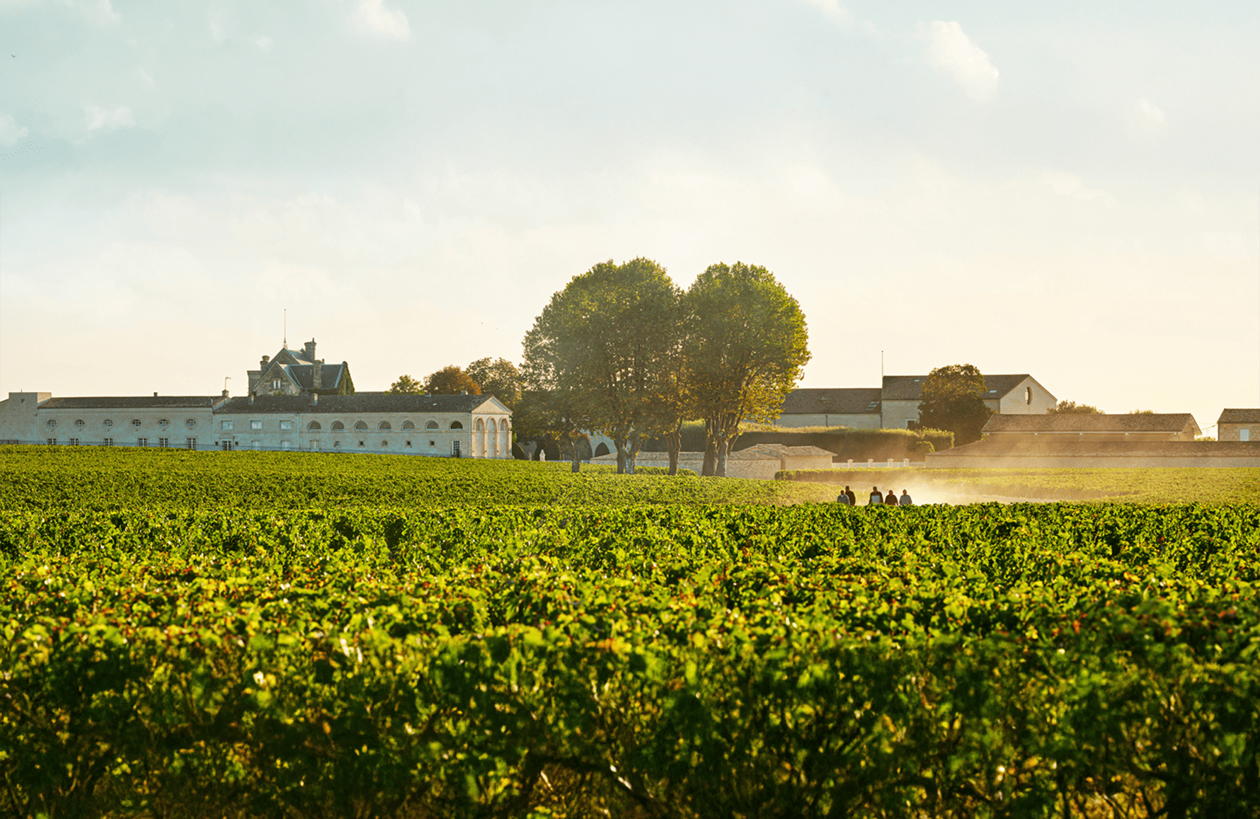 the story of Château Mouton Rothschild