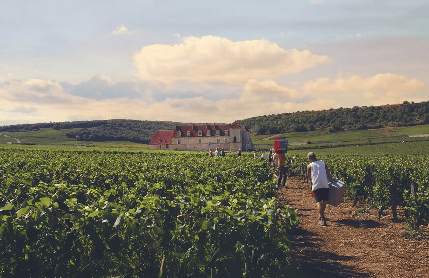 l’histoire du Domaine Bertagna