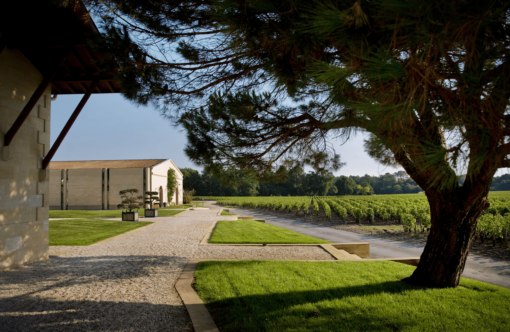 the story of Chevalier Estate