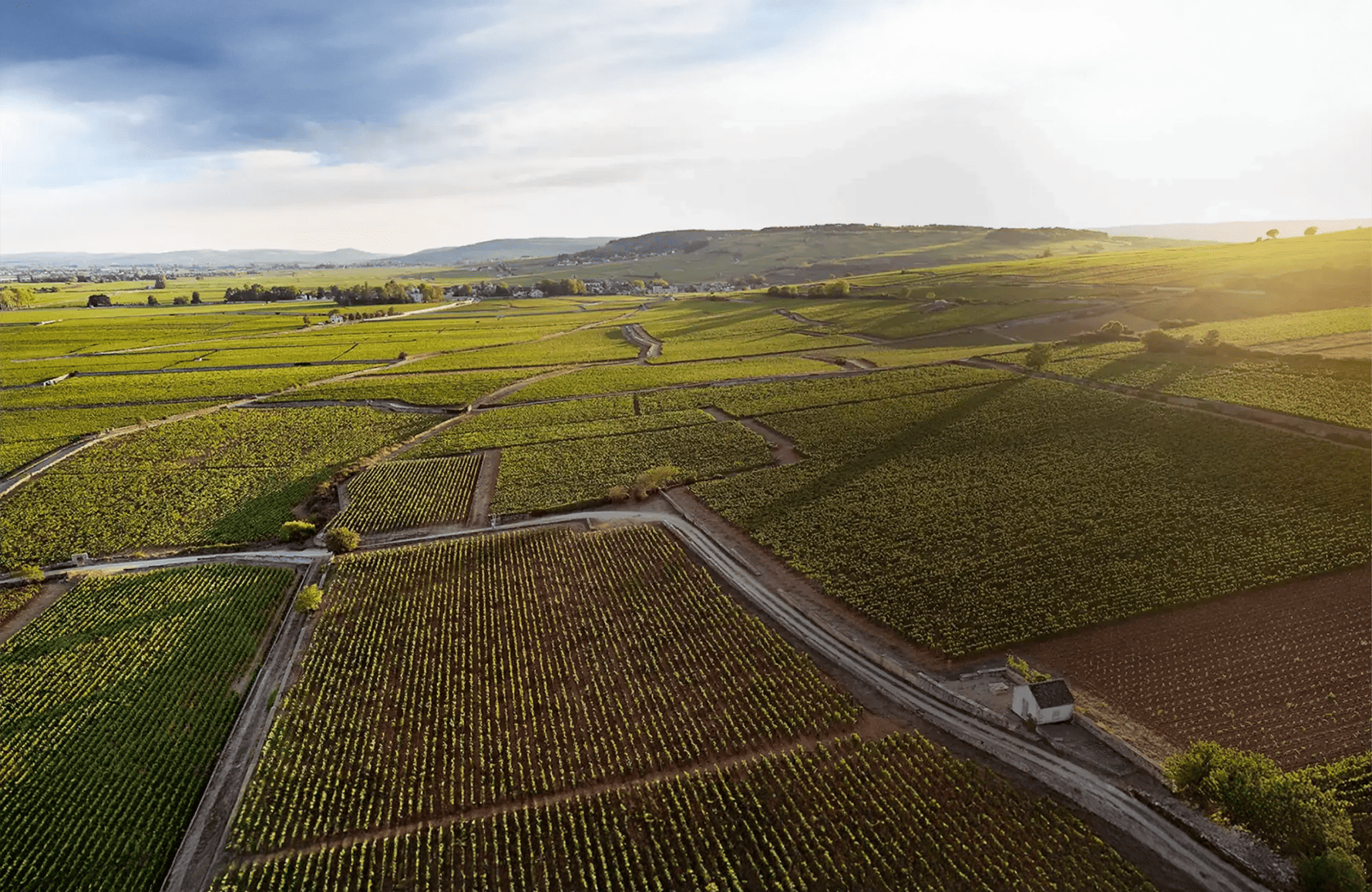 l’histoire du Joseph Drouhin