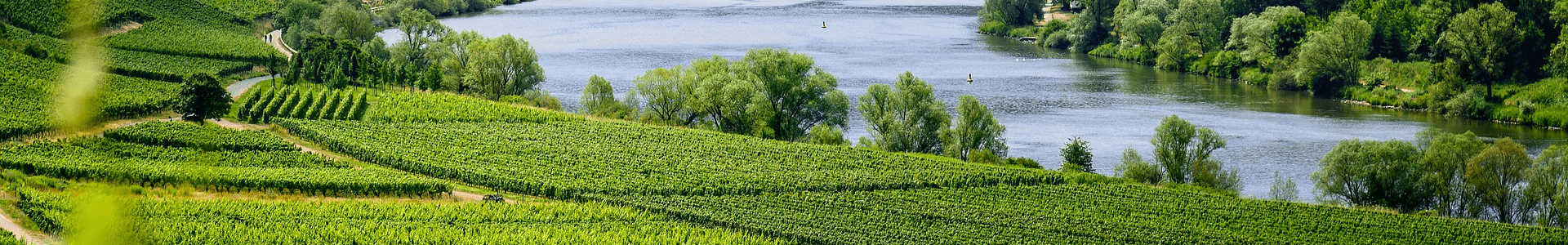Clos Roussely