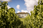 Château Reysson