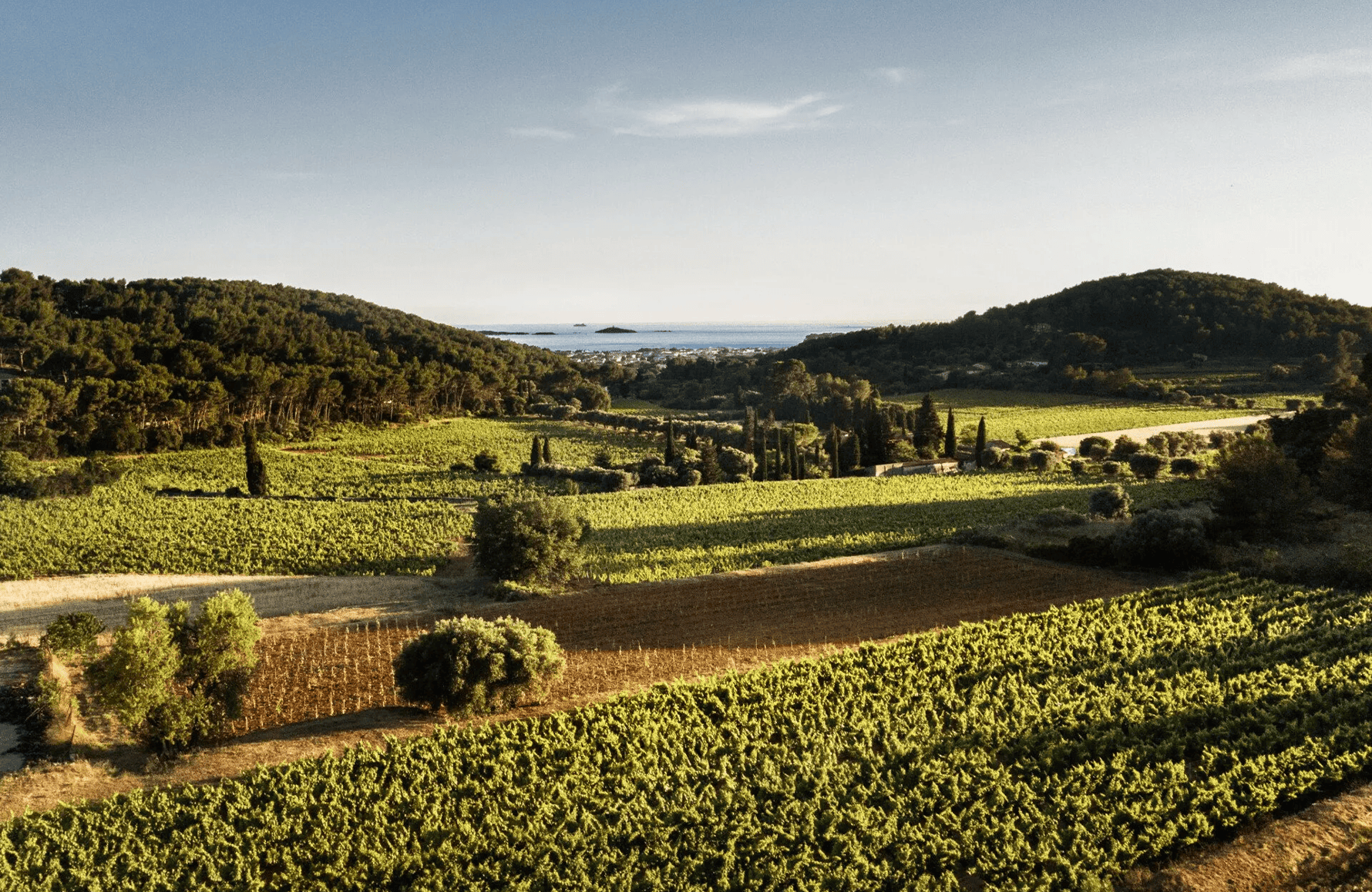 Domaine de Terrebrune