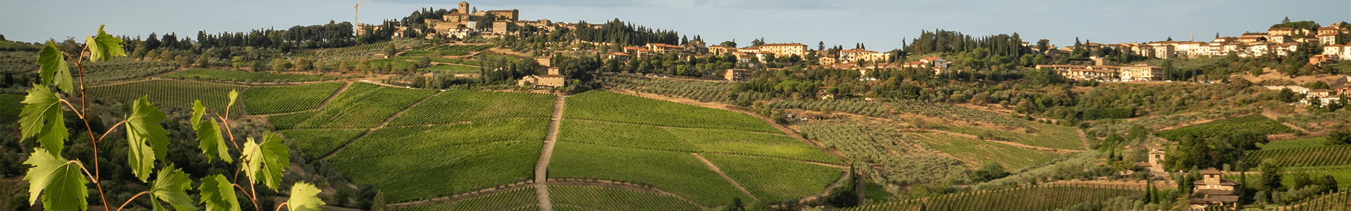 Le Macchiole - Italie