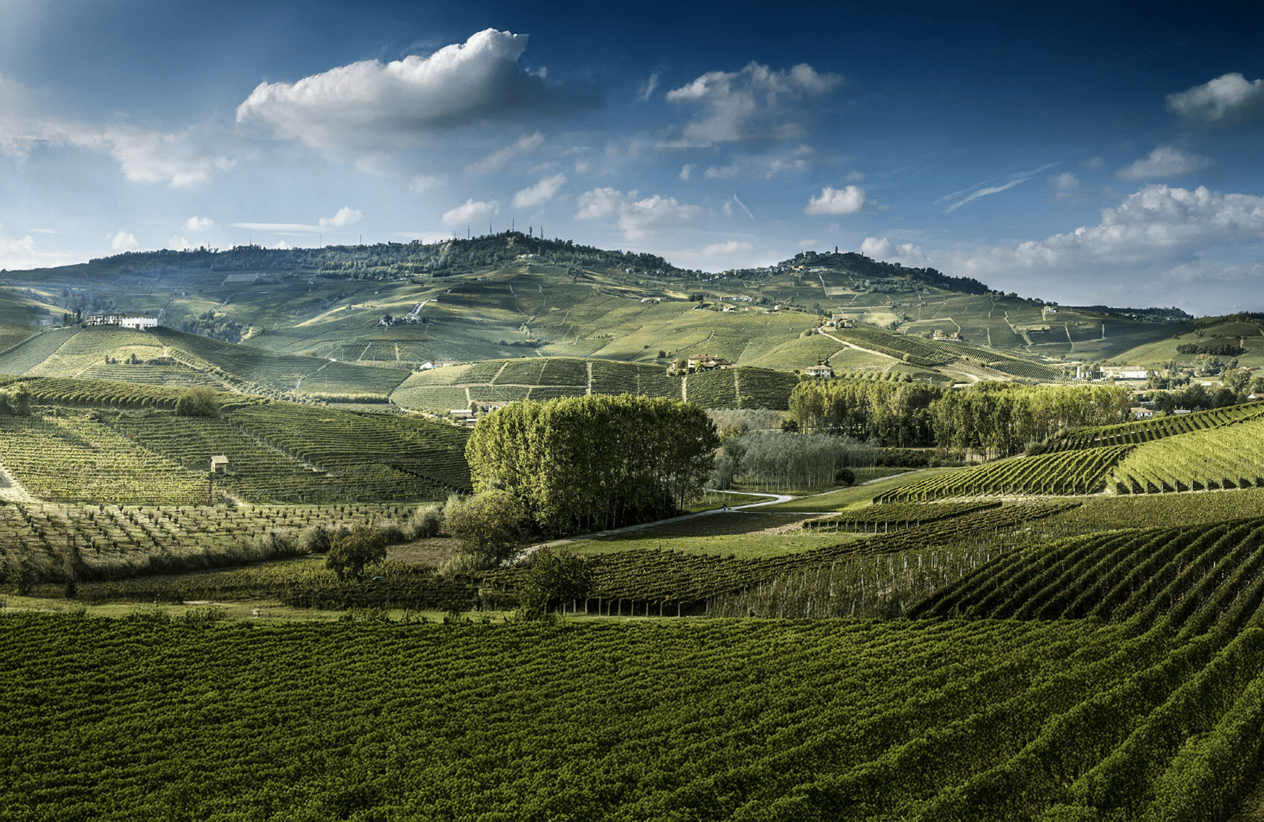 Luciano Sandrone - Italie