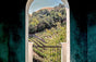 Tesseron Estate Pym-Rae