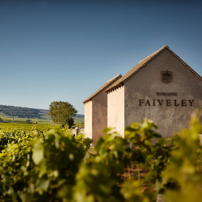 Domaine Faiveley