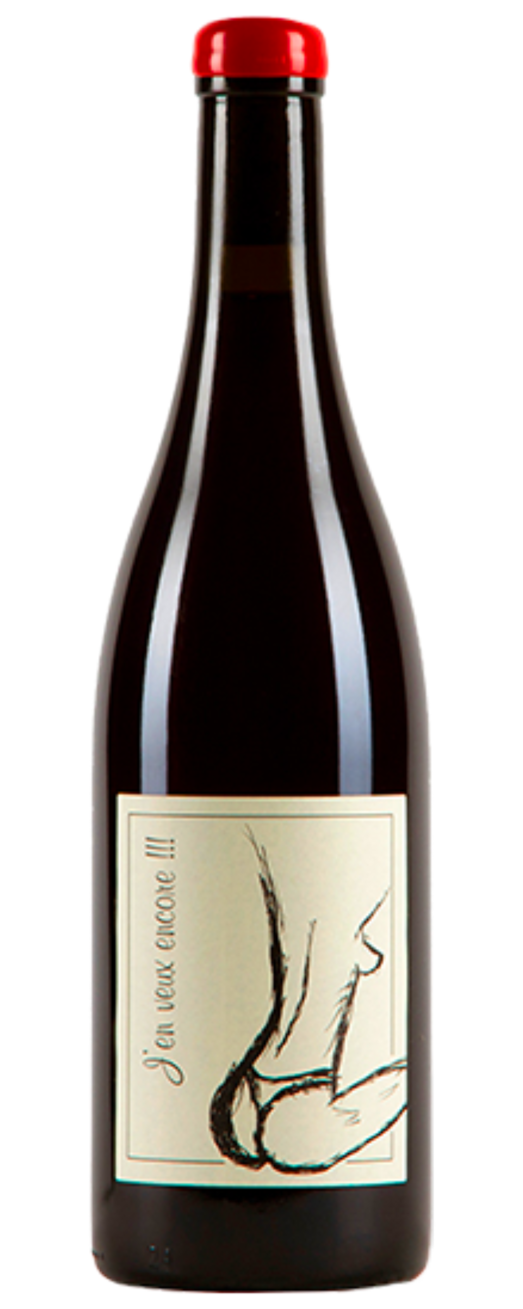Domaine Anne et Jean-François Ganevat - Vin de France J'en veux encore 2023