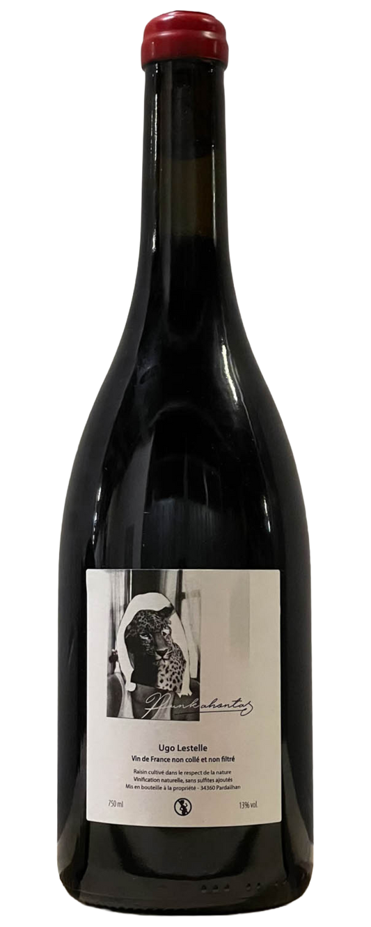 Domaine Ugo Lestelle - Vin de France Punkahontas 2021