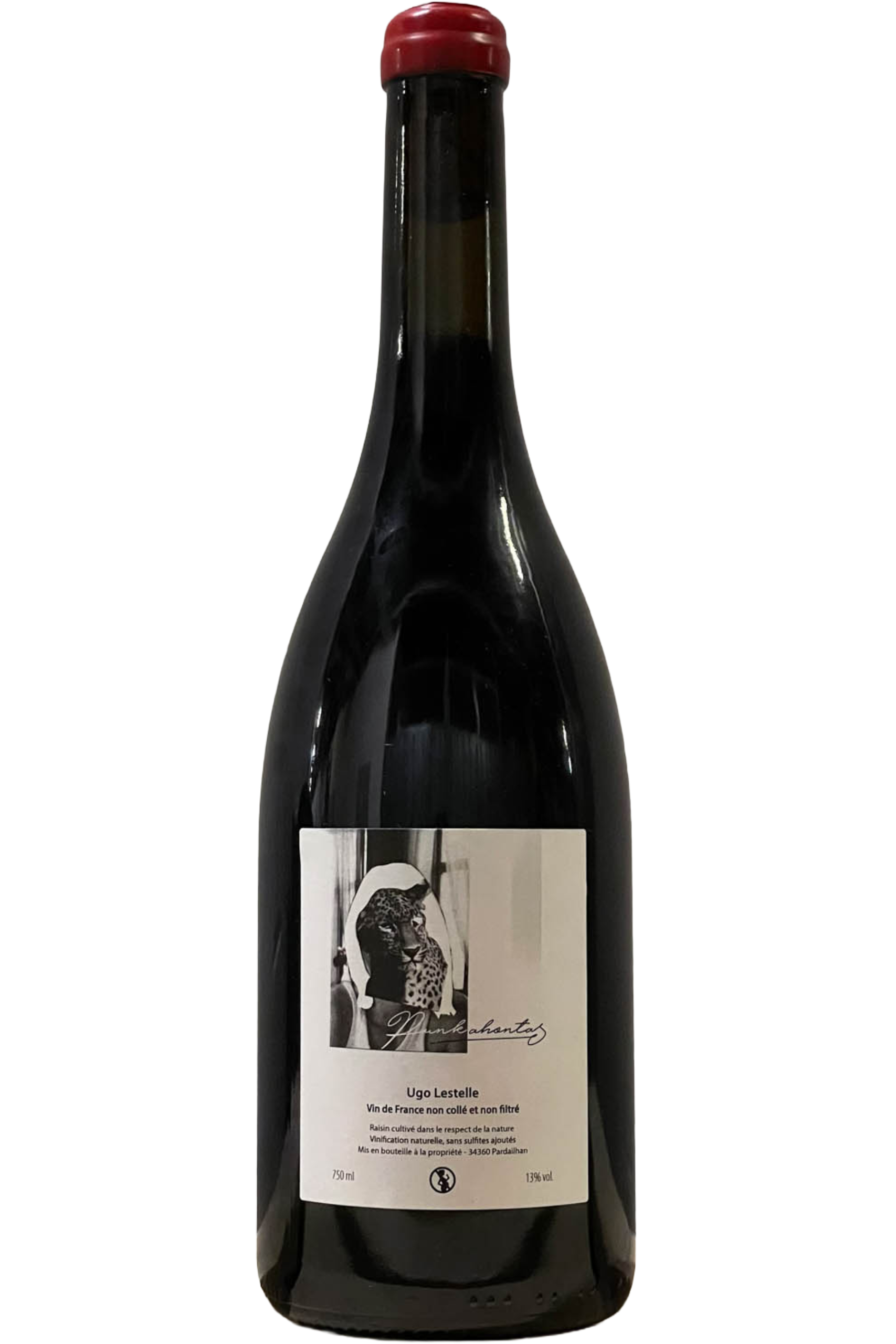 Domaine Ugo Lestelle - Vin de France Punkahontas 2021