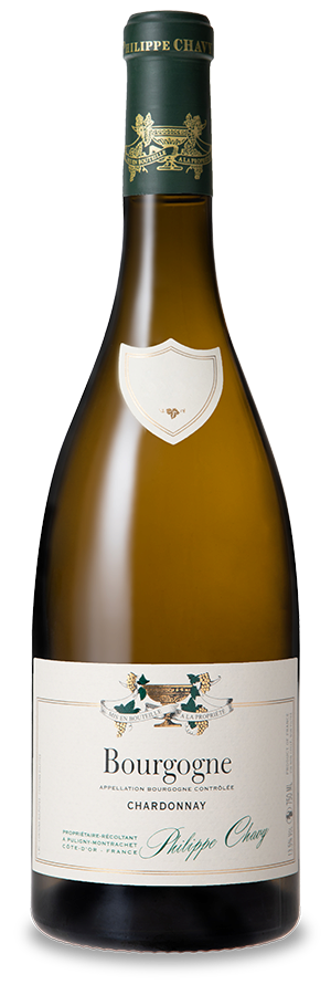 Domaine Philippe Chavy - Bourgogne Blanc 2018