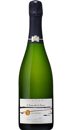 Champagne Françoise Bedel - L'Ame de la Terre 2010 - Champagne Millésimé