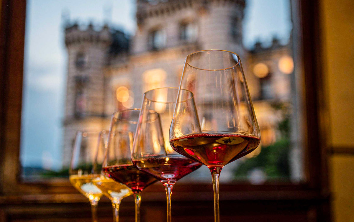 Dégustation de vins