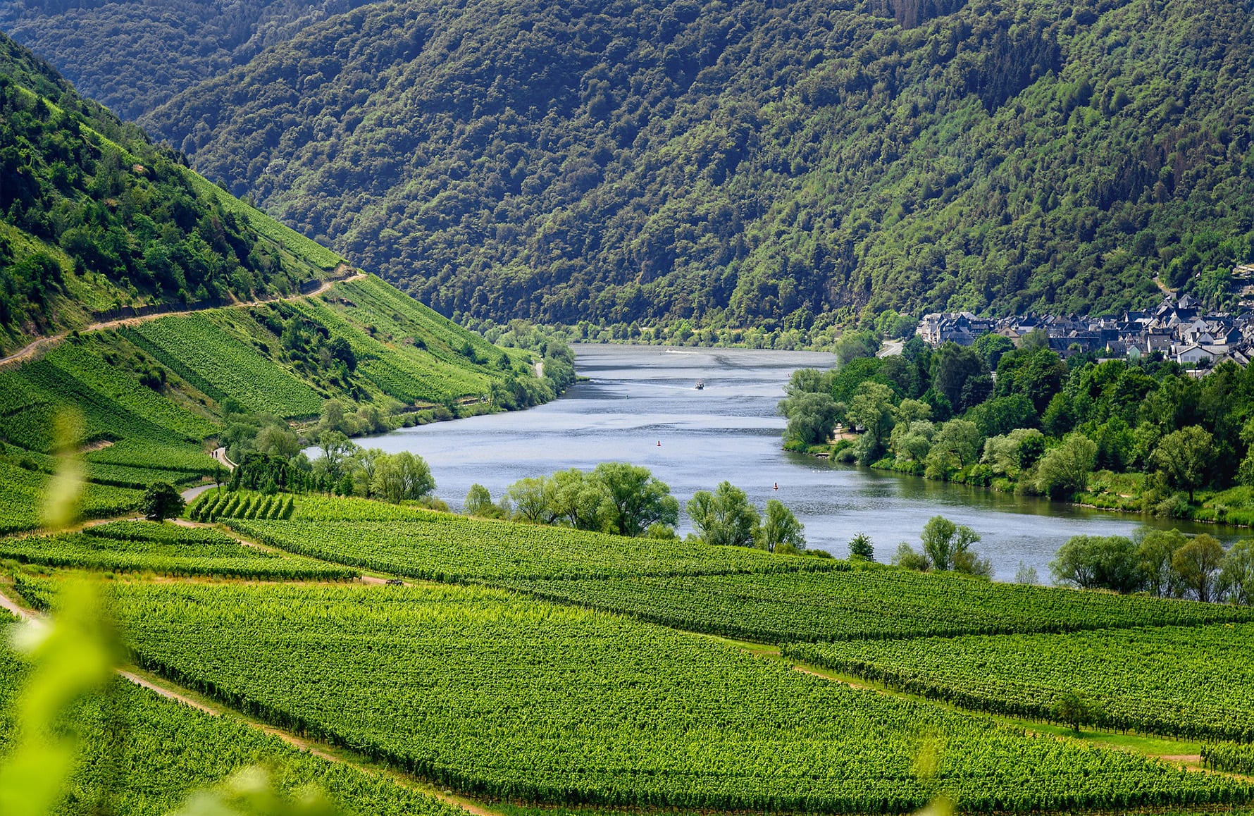l’histoire du Domaine Didier Dagueneau