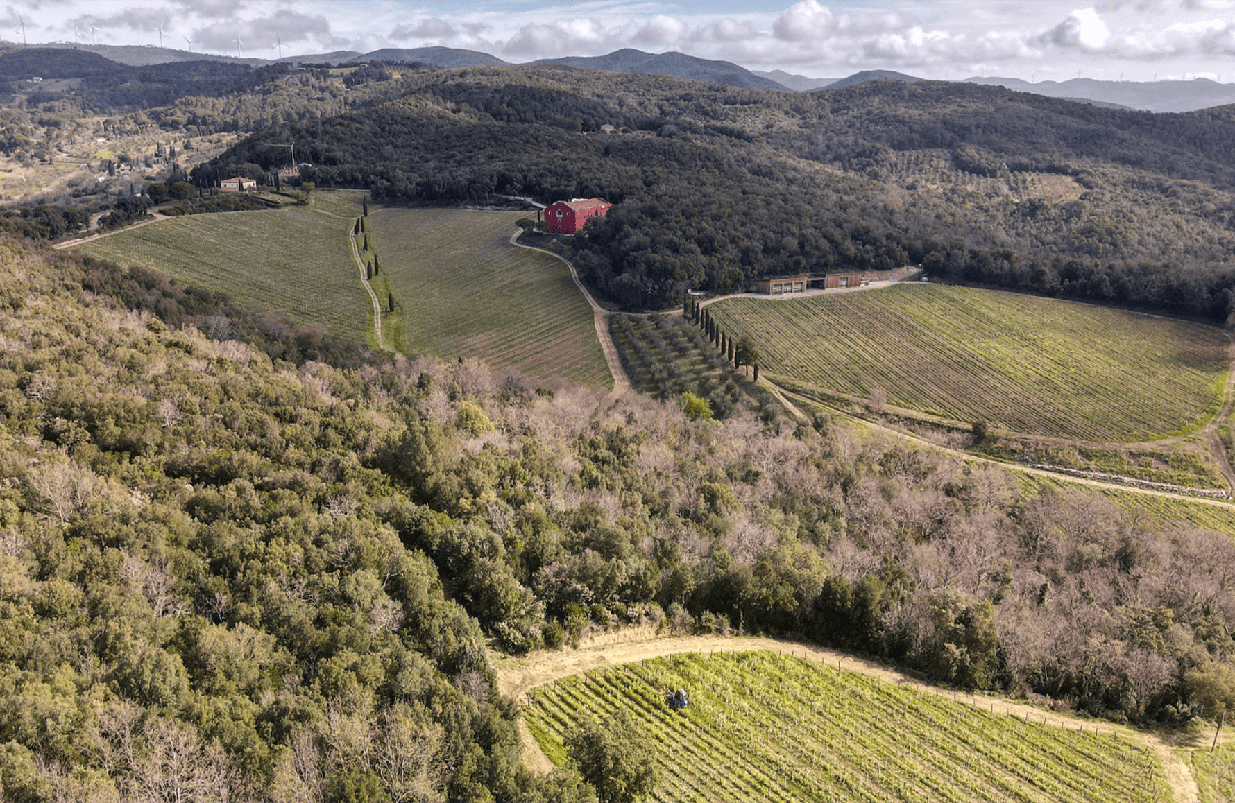 l’histoire du Caiarossa - Italie