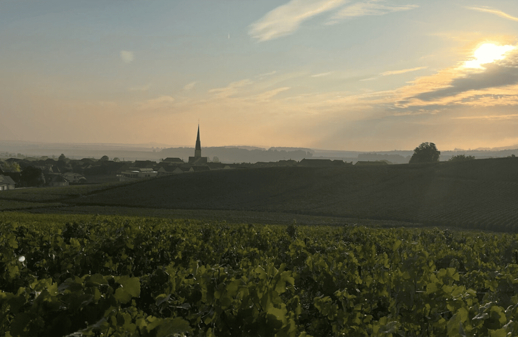 l’histoire du Champagne Bonnet-Ponson