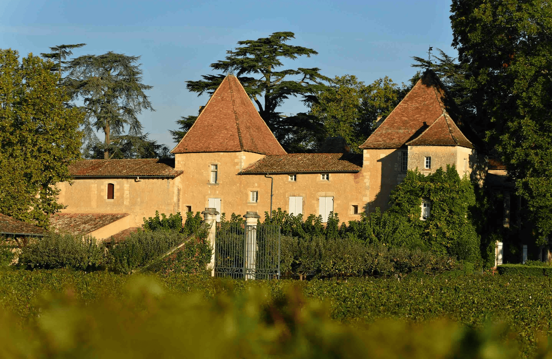 the story of Château Carbonnieux