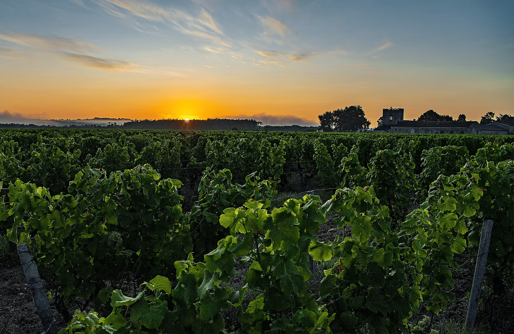 the story of Chantegrive Castle