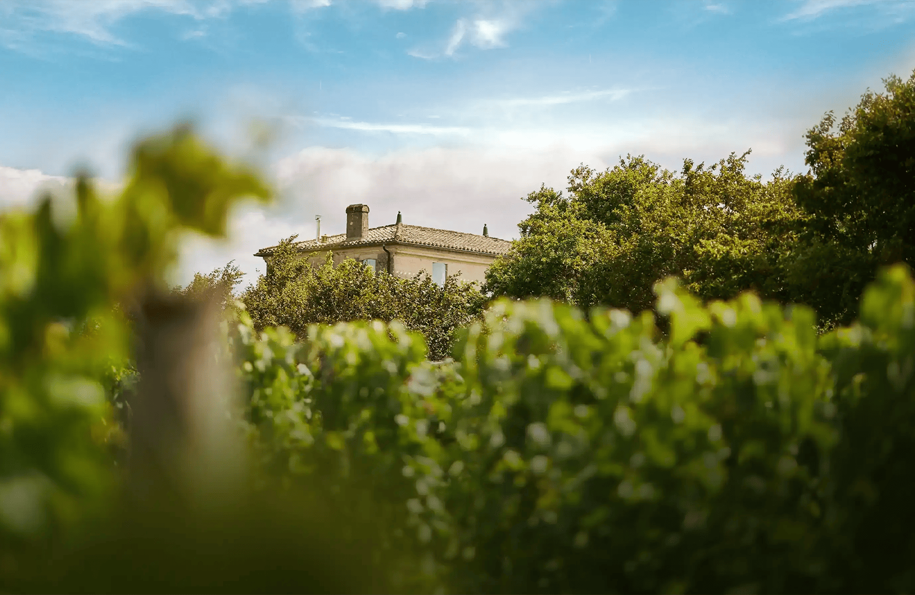 the story of Fonbel Castle