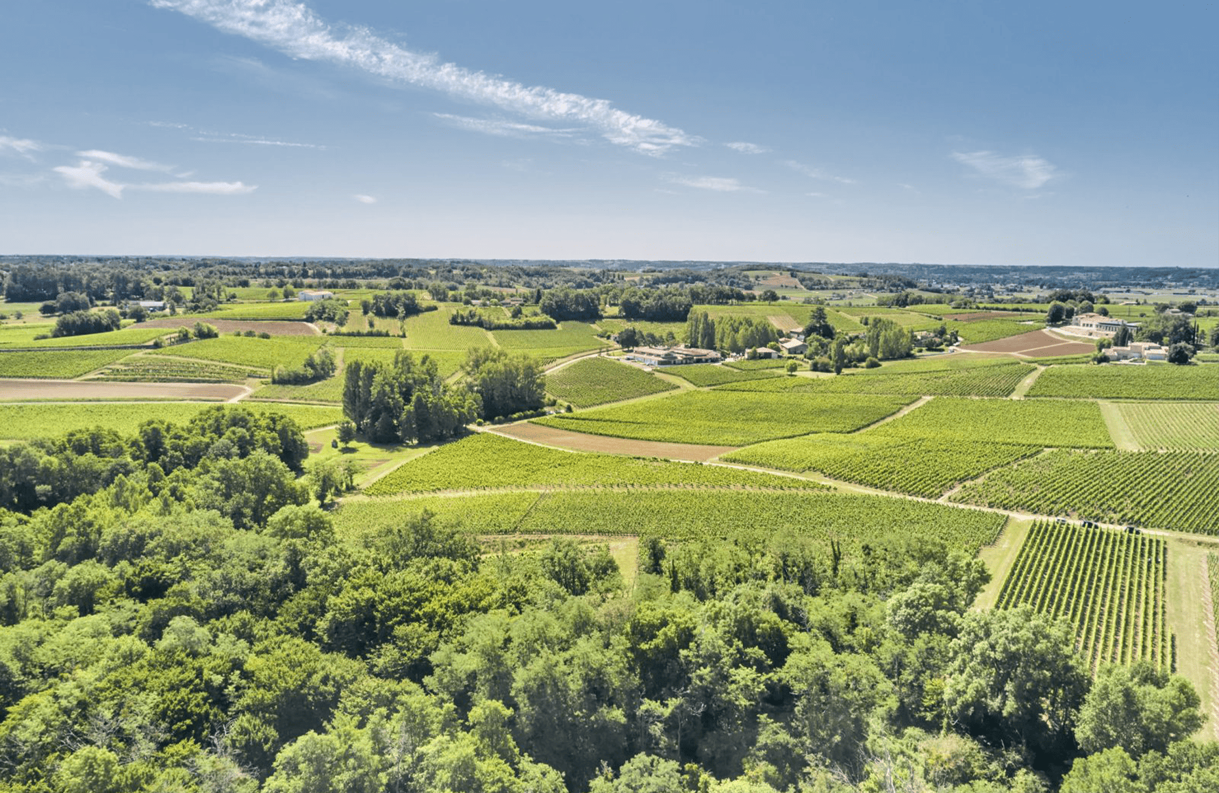 the story of Château Fleur Cardinale