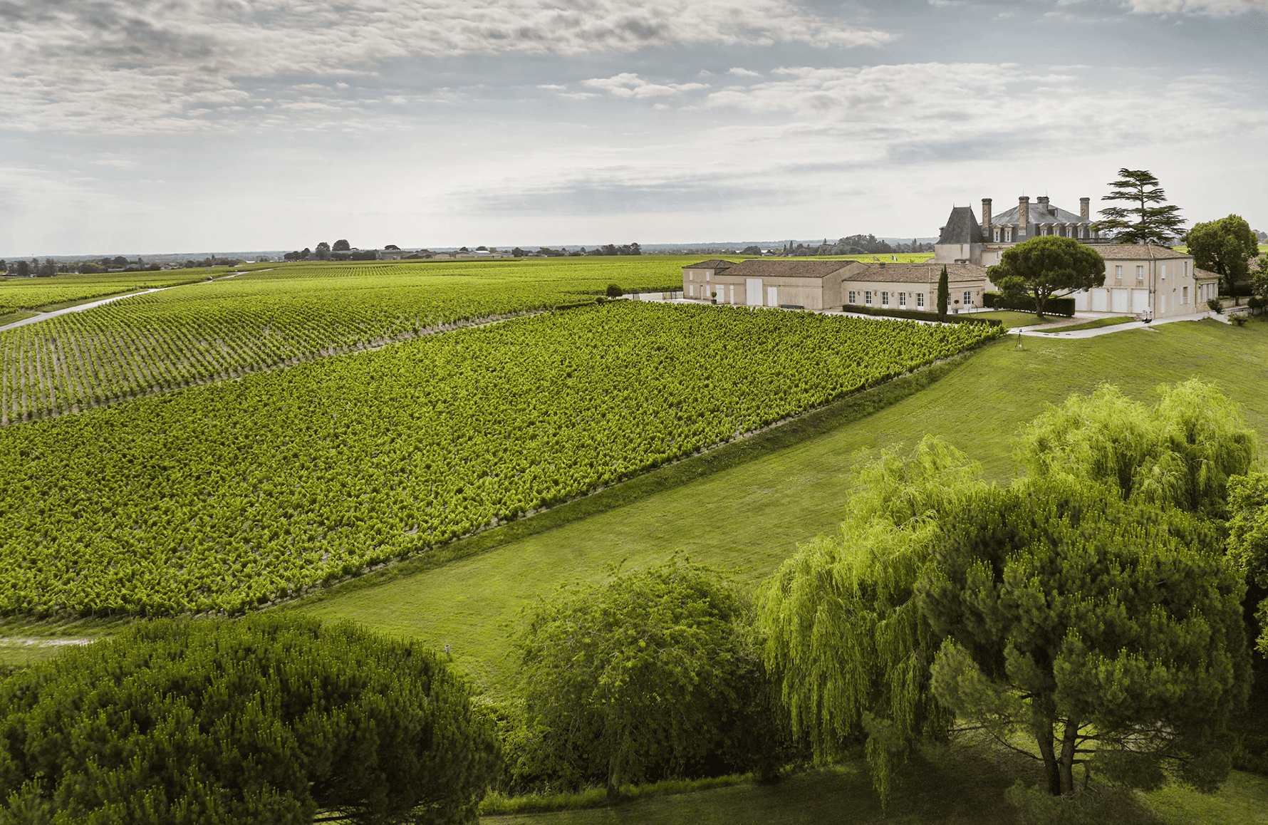 the story of Grand-Puy-Lacoste Castle