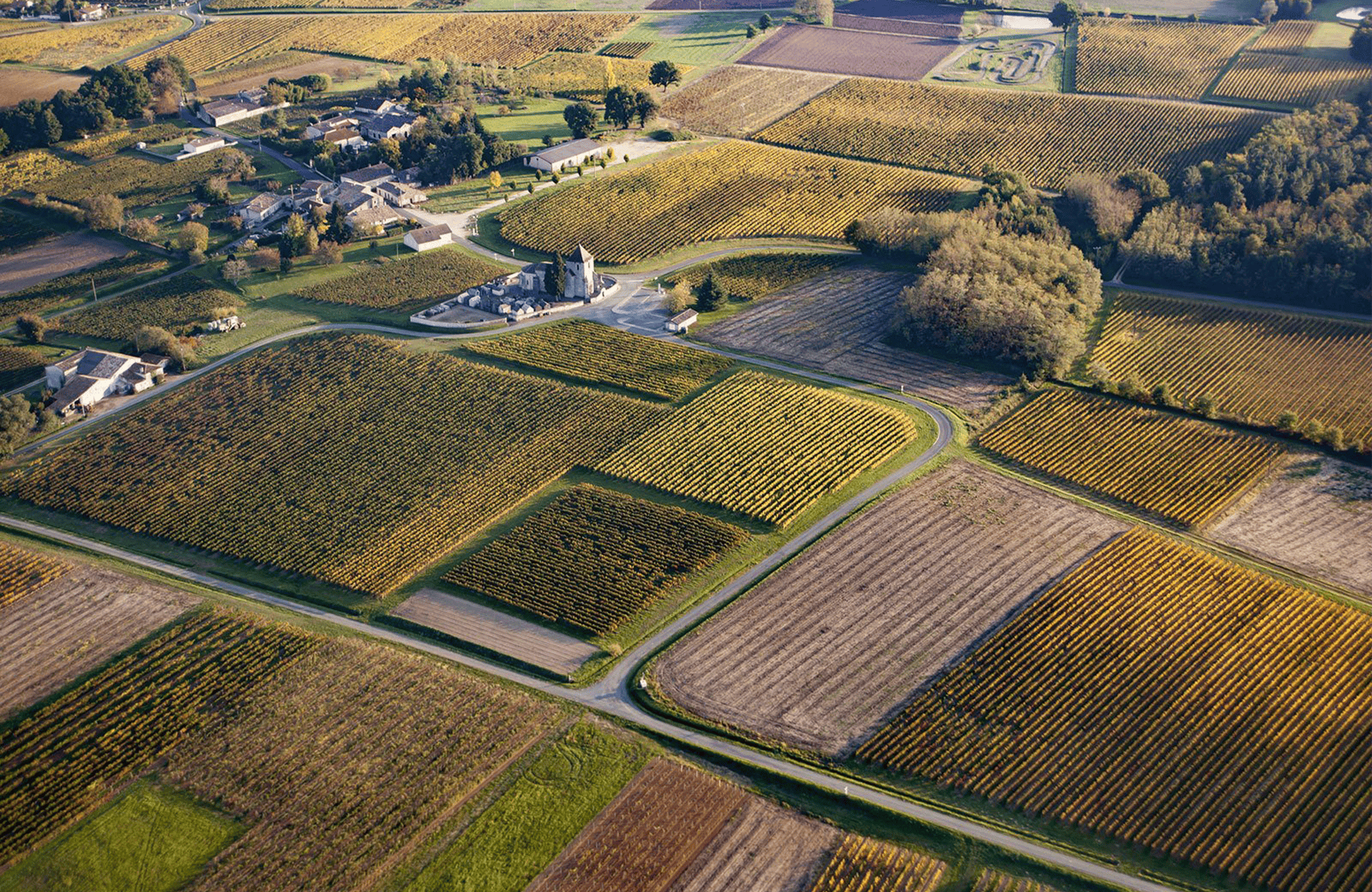 the story of Château Joanin Bécot