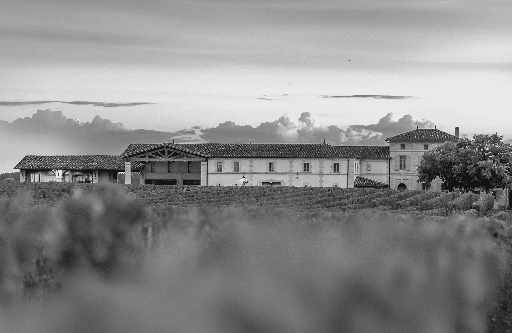 the story of Château Lafleur