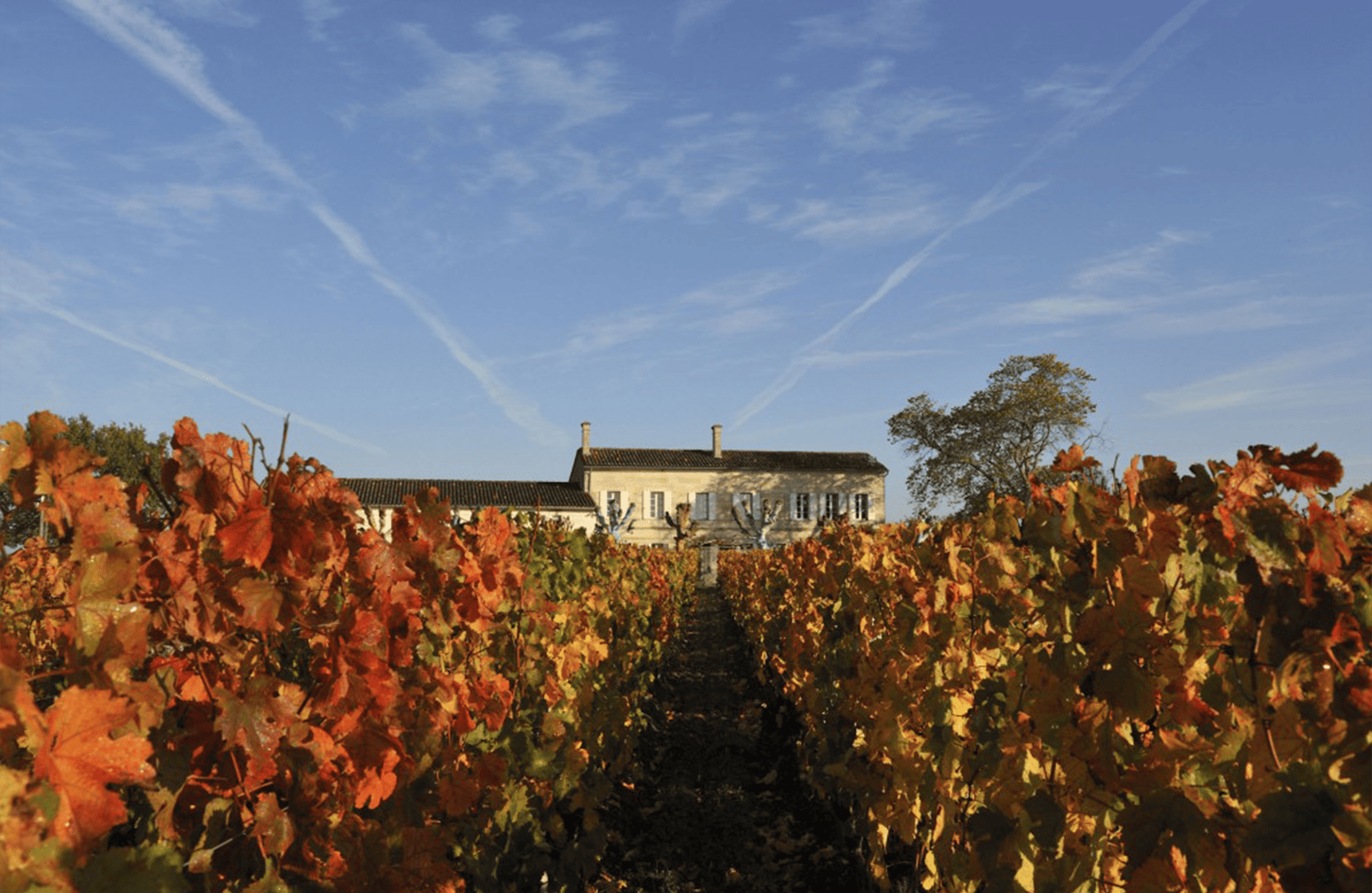 the story of Château l'Eglise-Clinet