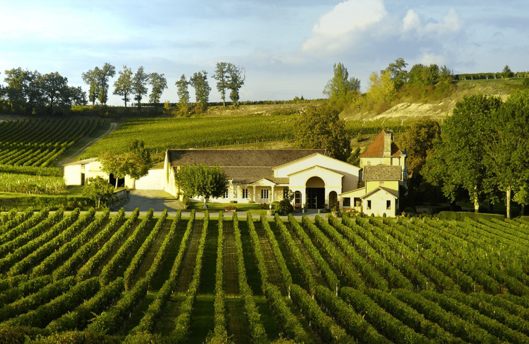 the story of Château Mangot