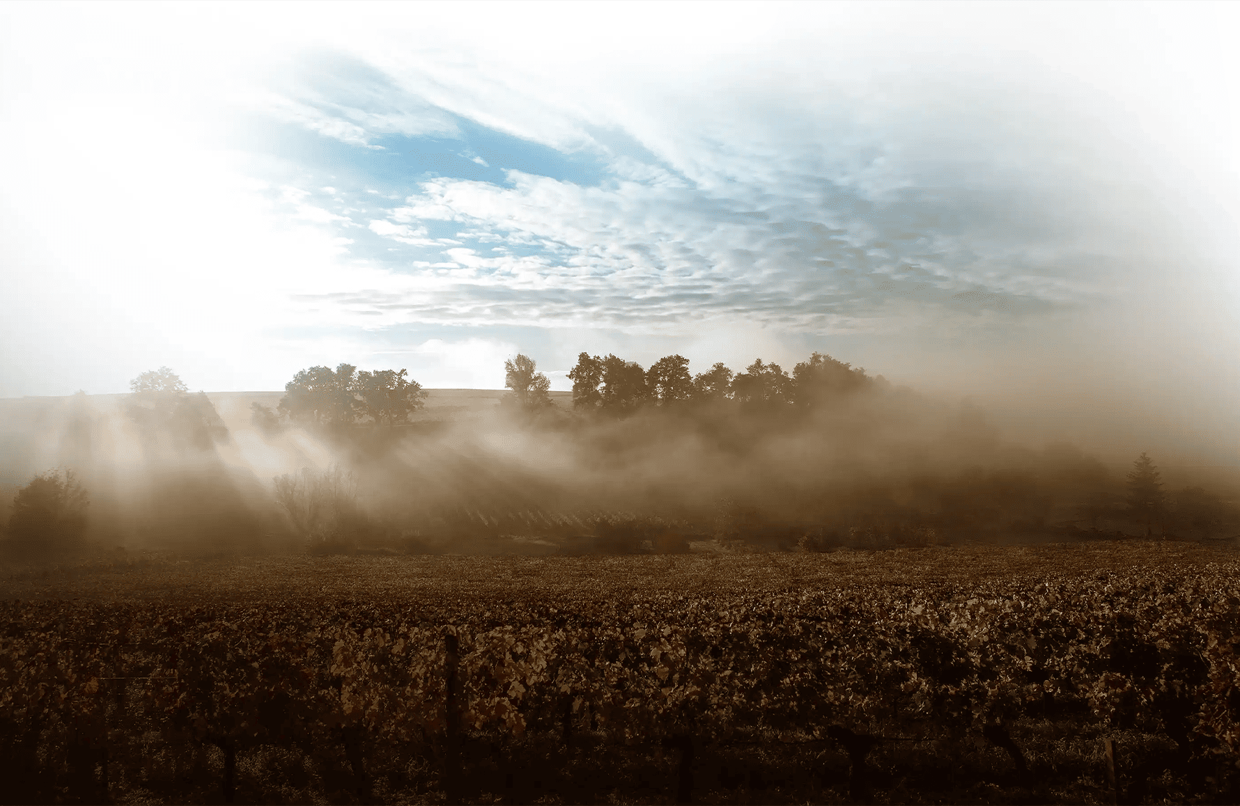 the story of Château Moulin Saint-Georges