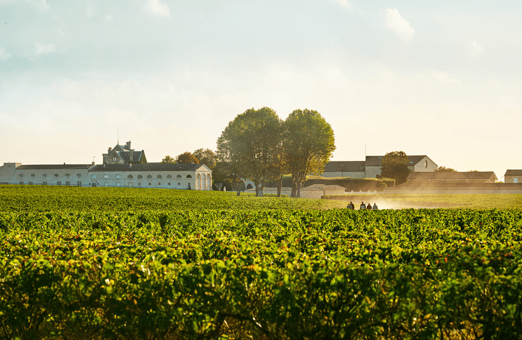 the story of Château Mouton Rothschild