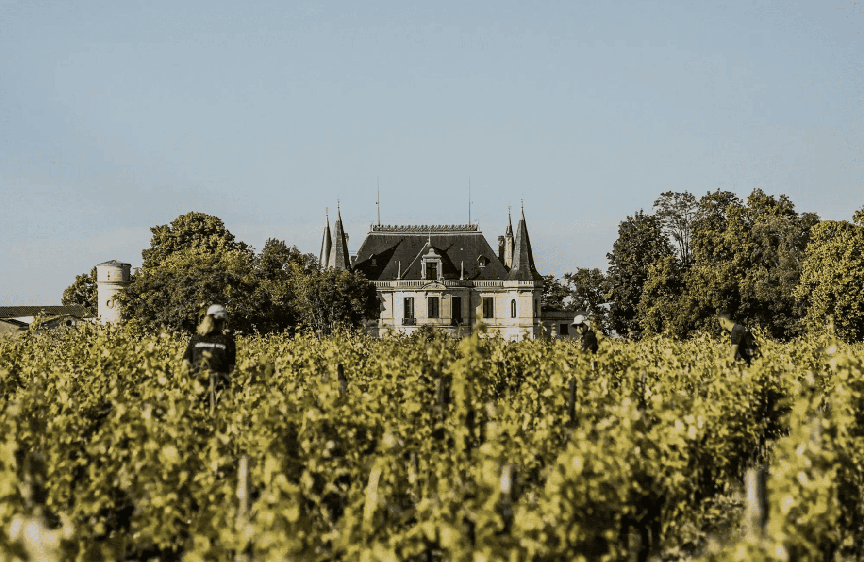 the story of Château Palmer