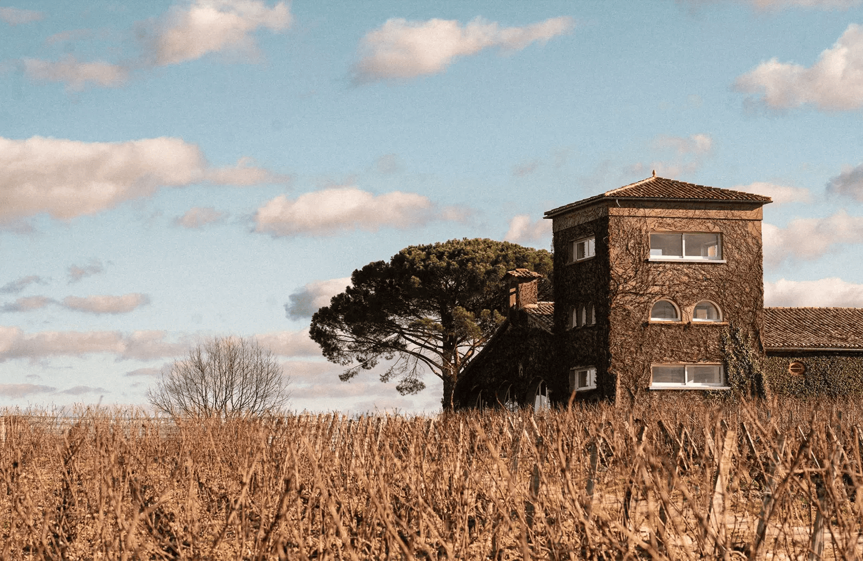 the story of Château Rieussec