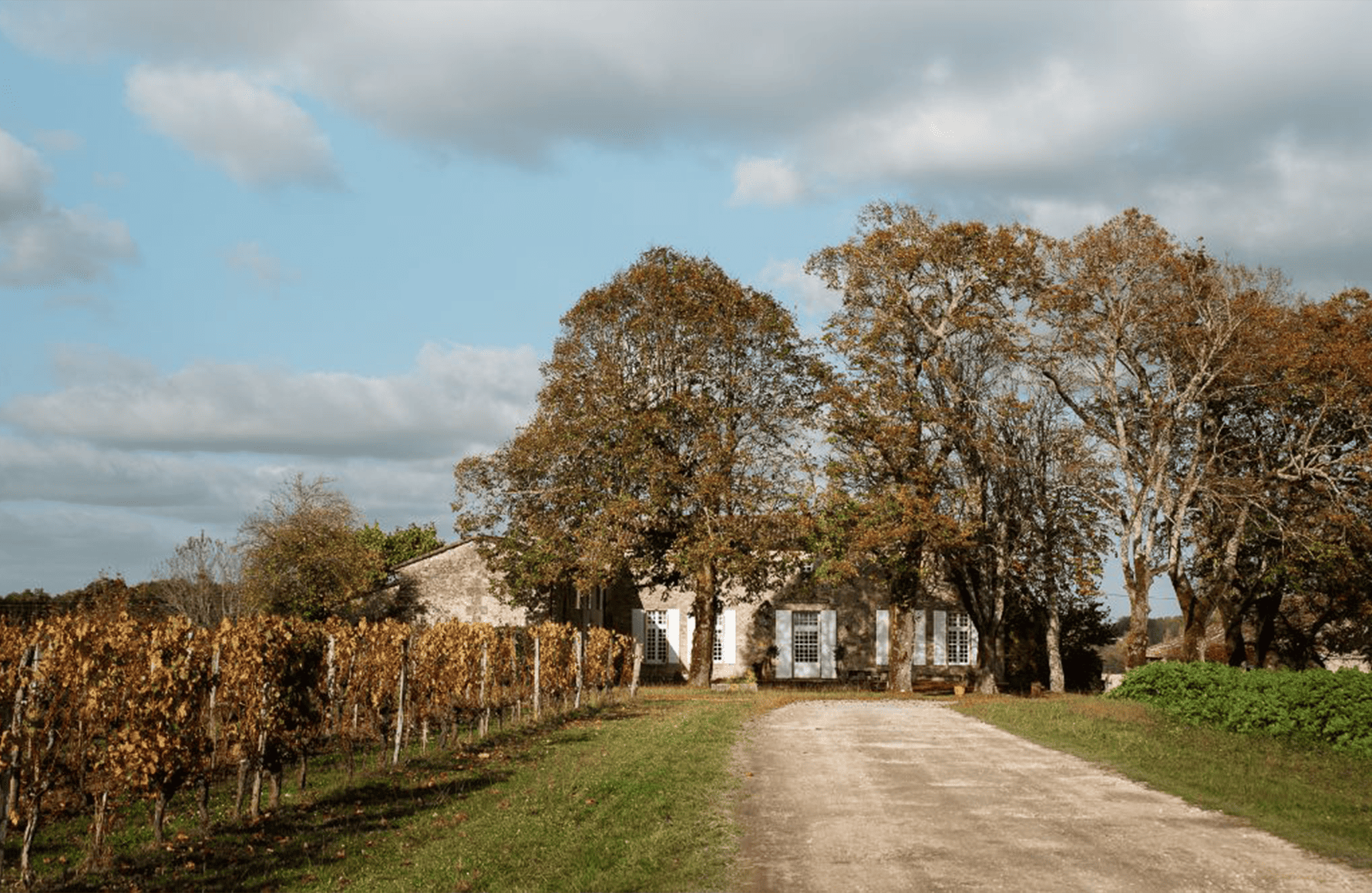 the story of Château Teyssier
