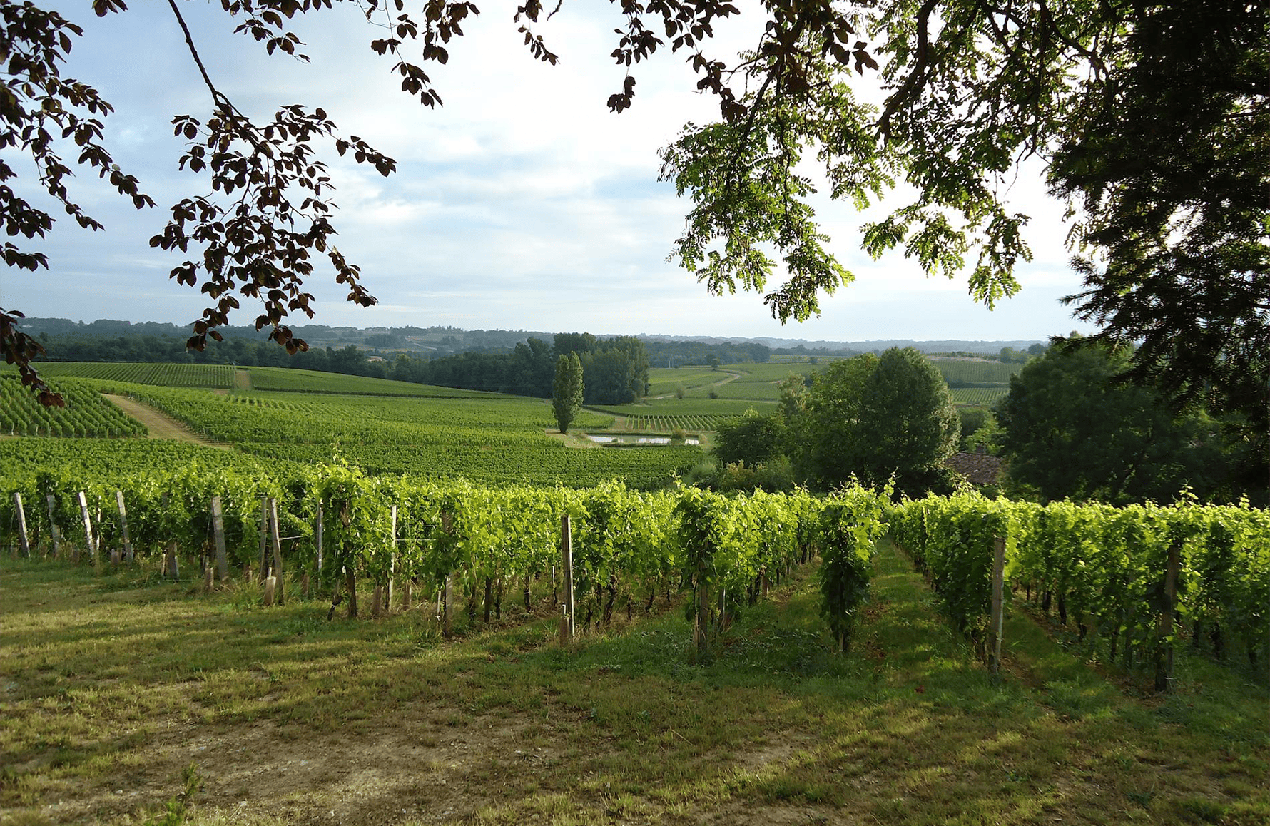 the story of Valandraud Castle