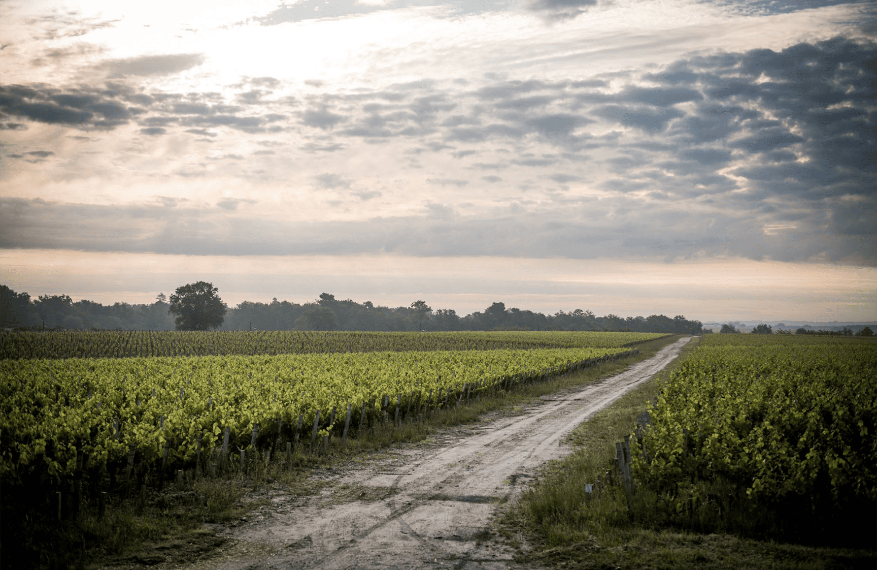 l’histoire du Château de Camensac