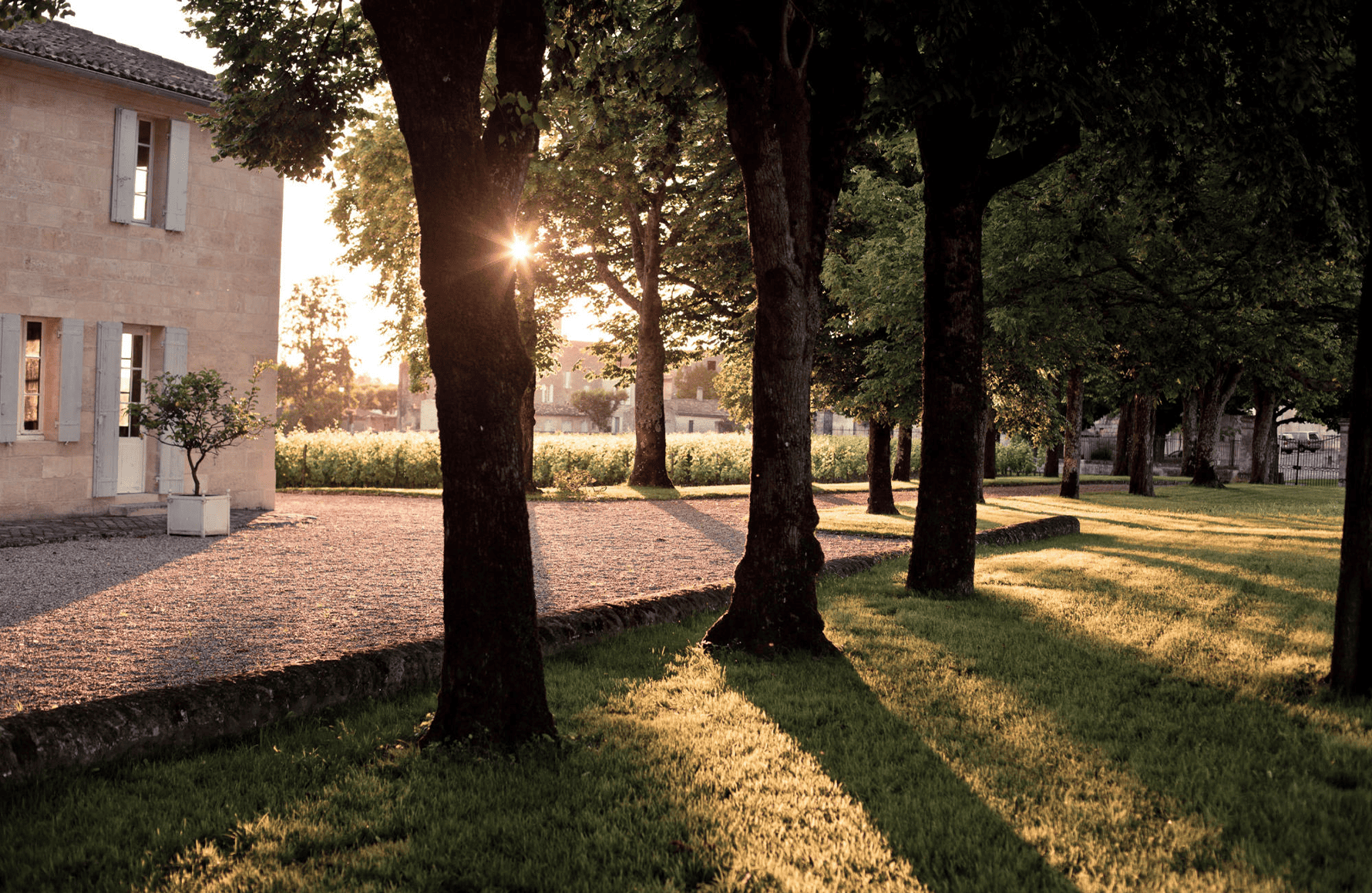 the story of Clos Fourtet