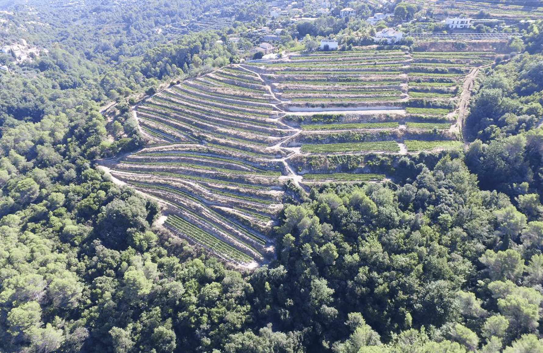 l’histoire du Clos Saint Vincent